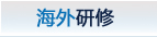 讲师